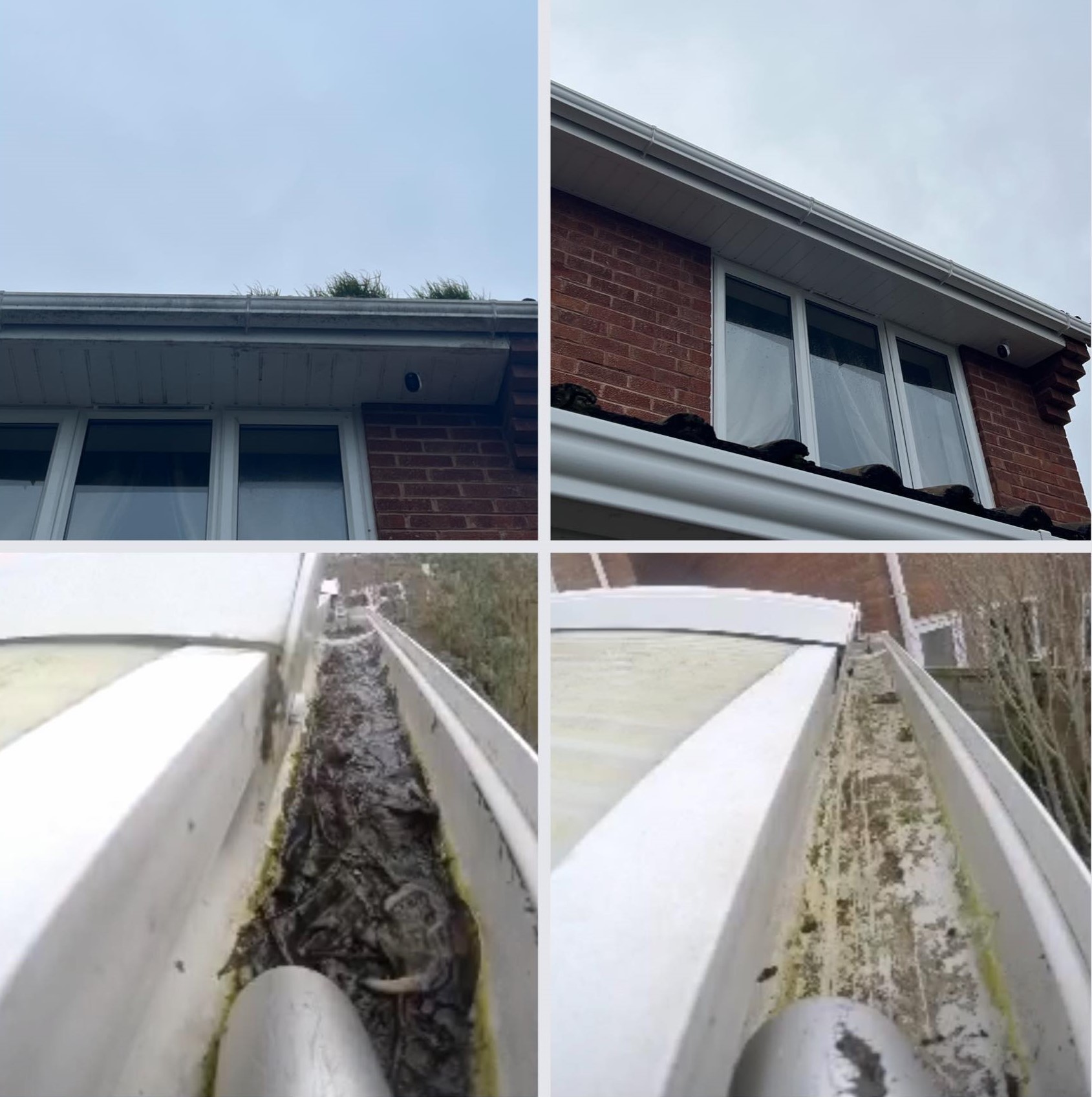 window cleaning photo